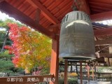 京都　宇治　紅葉　観光スポット